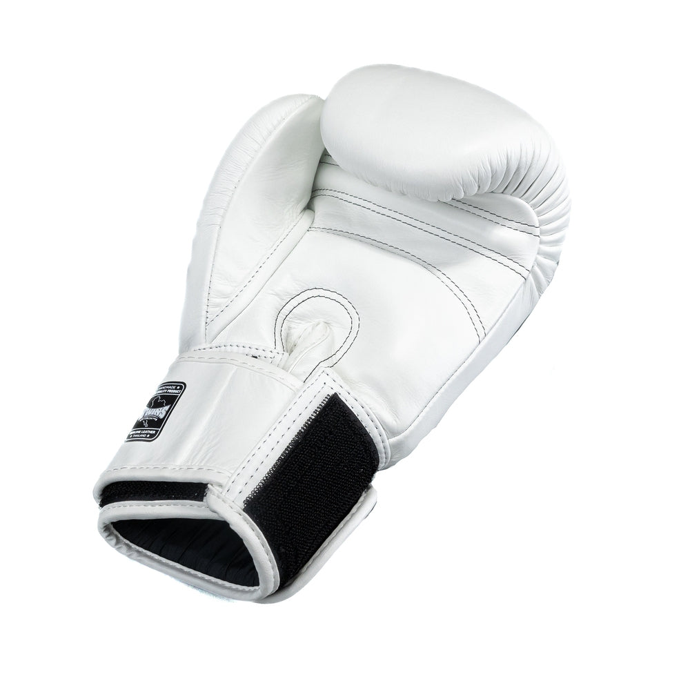 BG-N V2 WHITE